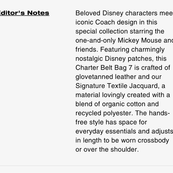 Coach Crossbody Bag with Disney Patches - Brown and Cream - Picture 15 of 15